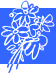 jubilaeum[1]